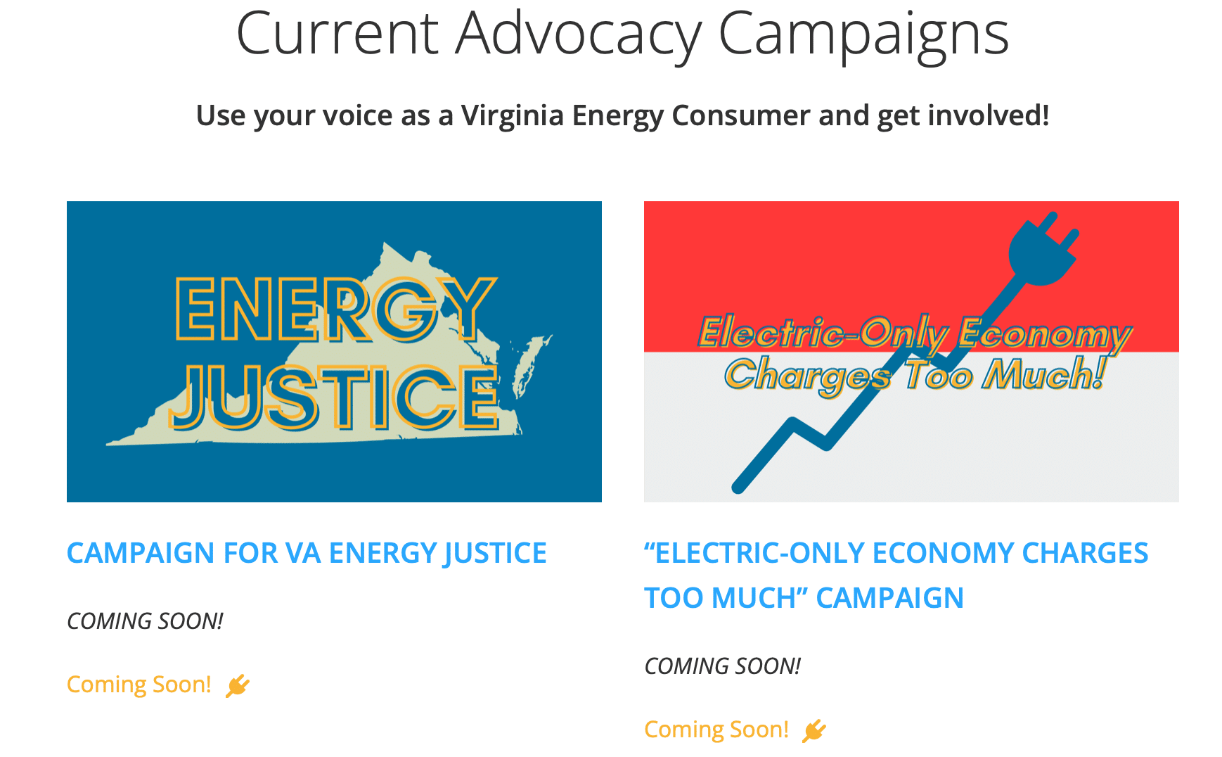 Virginia Energy Consumer Trust Energy and Policy Institute