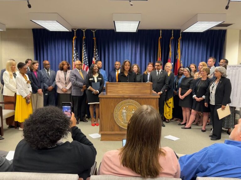 NC Democrats hold "bill funeral"